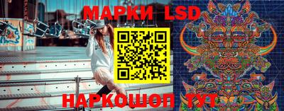 молекула духа Будённовск