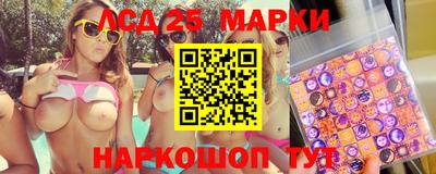 молекула духа Будённовск