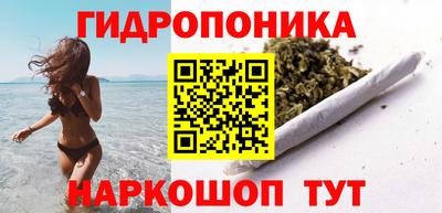 молекула духа Будённовск