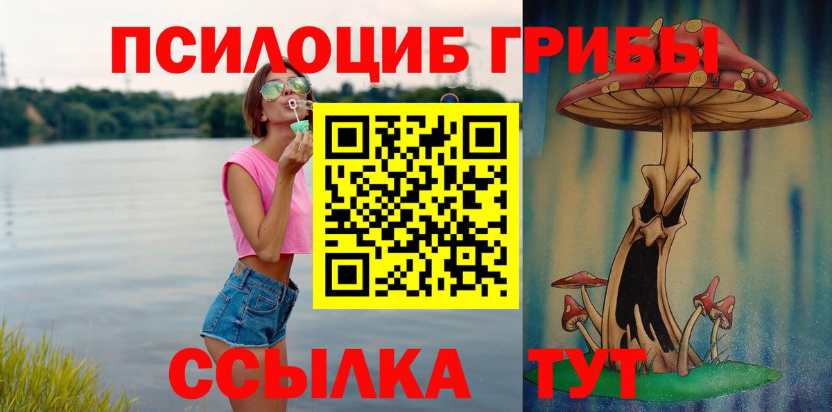 Галлюциногенные грибы прущие грибы Новочеркасск